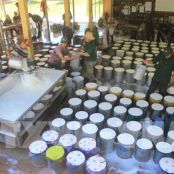 Xúc tiến thị trường thúc đẩy tiềm năng phát triển ngành nhựa, cao su